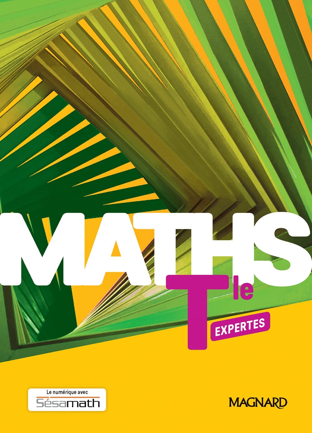 Maths expertes terminale – Image 1