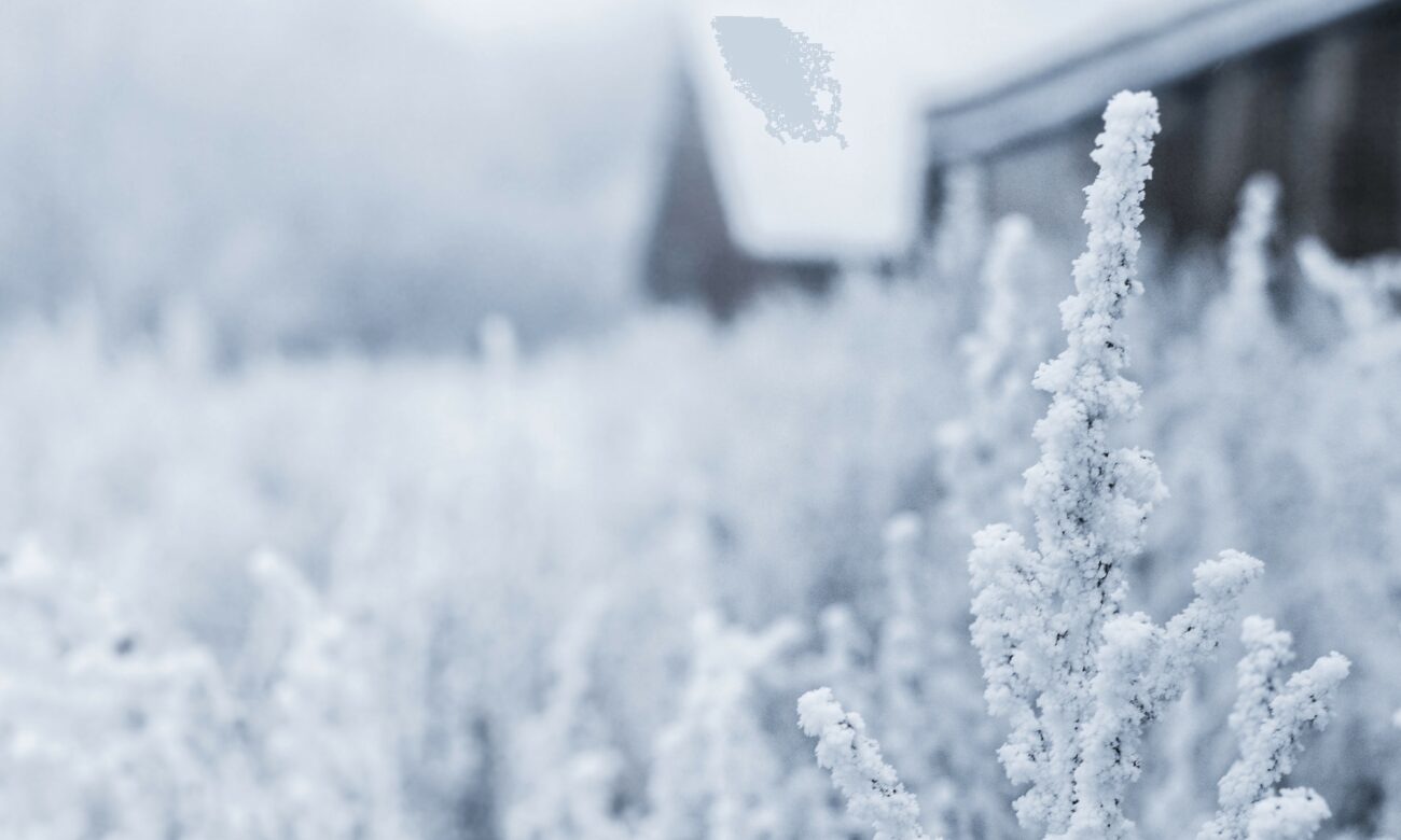 hiver