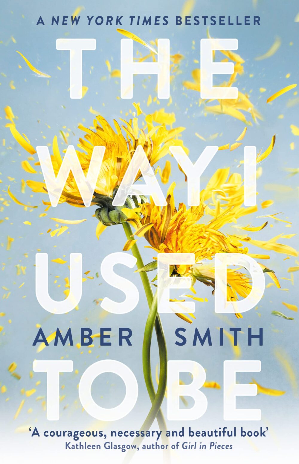 The Way I Used To Be – Image 1