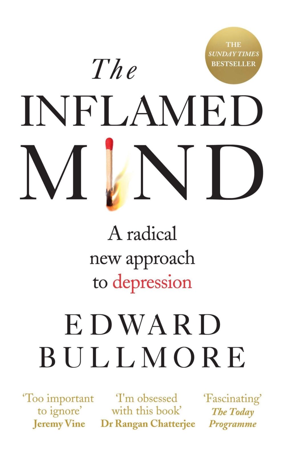 The Inflamed Mind: A radical new approach to depression – Image 1